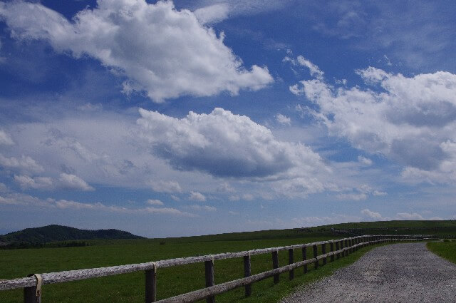 探偵長野